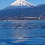 釣果情報・8月19日(日)沼津手ぶらで、楽々ふねつり体験ツアー