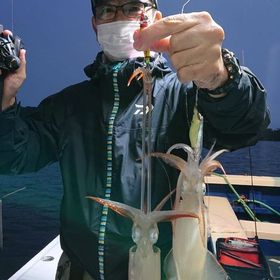 釣果情報・6月19日(金)沼津沖早夜マルイカ