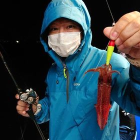 釣果情報・6月21日(日)沼津沖早夜マルイカ