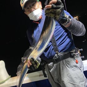 釣果情報・11月8日(日)沼津沖早夜タチウオ