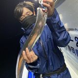 釣果情報・11月12日(木)沼津沖早夜タチウオ