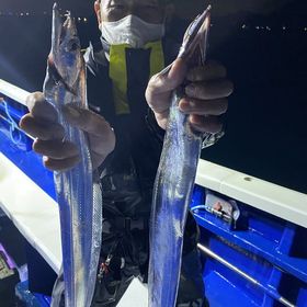 釣果情報・11月18日(水)沼津沖早夜タチウオ