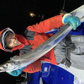 釣果情報・10月22日(金)沼津沖早夜タチウオ