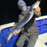 釣果情報・12月7日(日)沼津沖早夜タチウオ