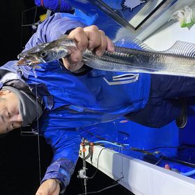 釣果情報・12月16日(木)沼津沖早夜タチウオ