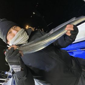 釣果情報・1月9日(日)沼津沖早夜タチウオ