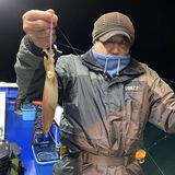 釣果情報・1月14日(金)沼津沖早夜タチウオ