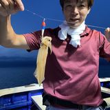 釣果情報・6月28日(火)沼津沖早夜マルイカ