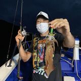 釣果情報・7月9日(土)沼津沖早夜マルイカ