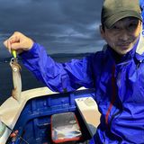 釣果情報・7月12日(火)沼津沖早夜マルイカ