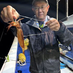 釣果情報・6月1日(木)沼津沖早夜マルイカ