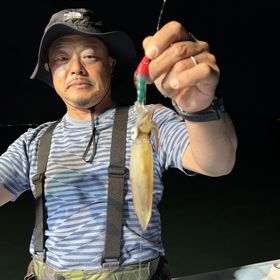 釣果情報・6月5日(月)沼津沖早夜マルイカ