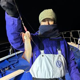 釣果情報・1月11日(木)沼津沖早夜マルイカ