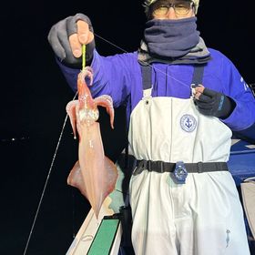 釣果情報・3月2日(土)沼津沖早夜マルイカ