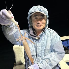 釣果情報・5月15日(金)沼津沖早夜ムギイカ