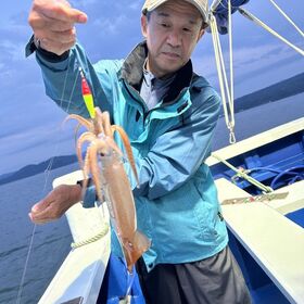 釣果情報・6月8日(土)沼津沖深夜ムギイカ