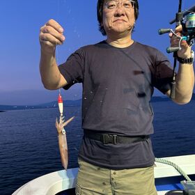 釣果情報・6月13日(木)沼津早夜マルイカ