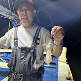 釣果情報・6月19日(水)沼津沖早夜マルイカ