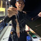 釣果情報・6月20日(木)沼津沖早夜マルイカ