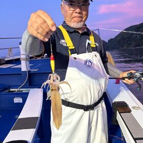 釣果情報・7月3日(水)沼津沖早夜マルイカ