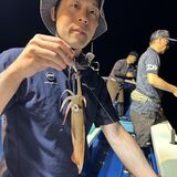 釣果情報・8月12日(月)沼津沖早夜マルイカ