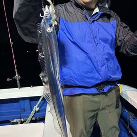 釣果情報・10月12日(土)沼津沖早夜タチウオ