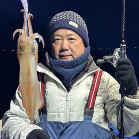 釣果情報・12月9日(月)沼津沖早夜マルイカ・ディープアジング