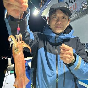 釣果情報・12月28日(土)沼津沖早夜マルイカ・ディープアジング